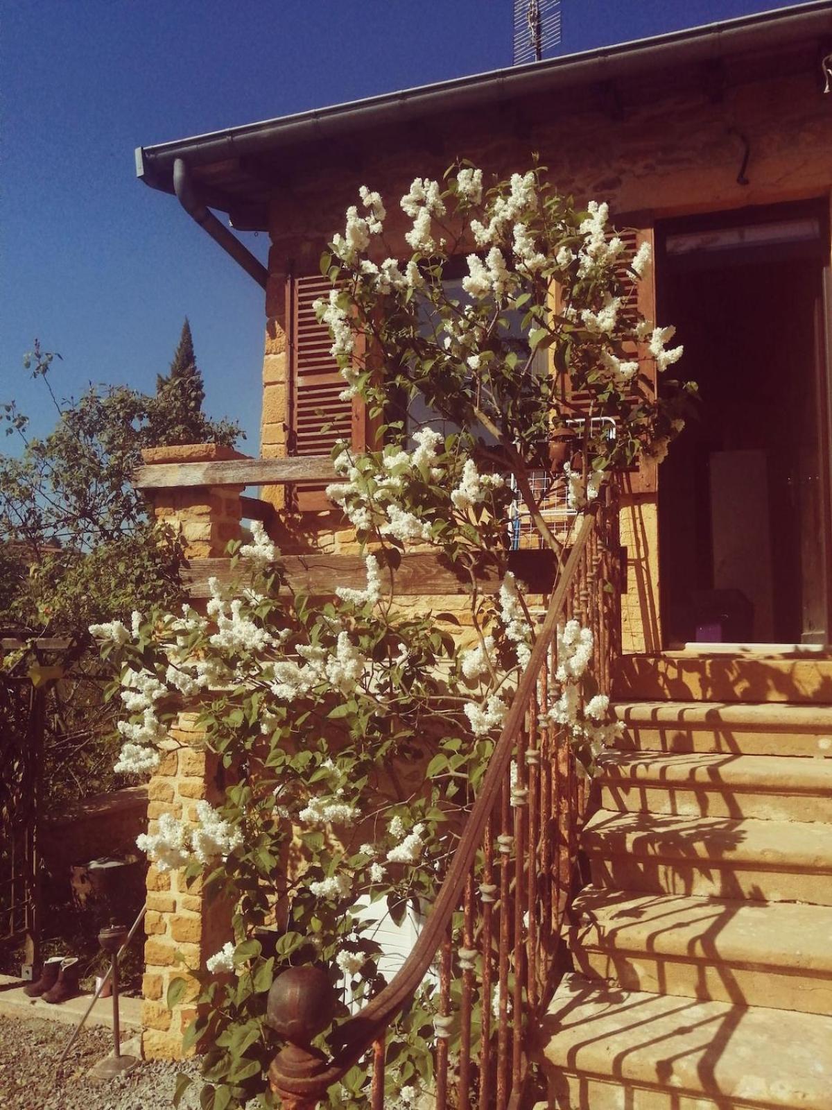 Une Evasion Dans Les Pierres Dorees Moire Exterior photo